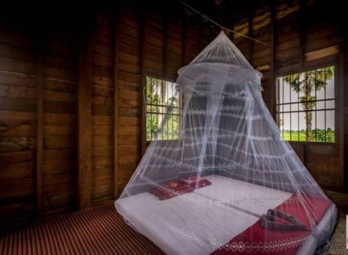 Siem Reap Cambodia Trip Discount Code Booking.com