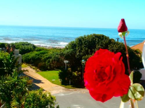 Hermanus South Africa Trip Discount Code Booking.com