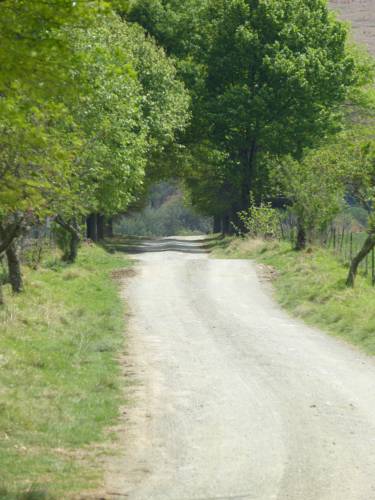 Bloemendal South Africa Trip Discount Code Booking.com