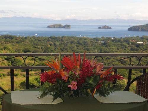 Coco Costa Rica Trip Discount Code Agoda.com