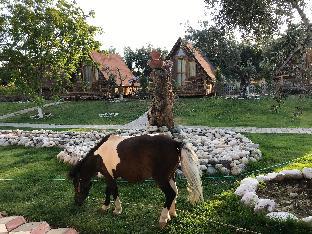 Edremit Turkey Trip Discount Code Agoda.com