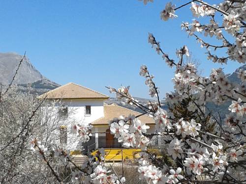 Torres Spain Trip Discount Code Booking.com